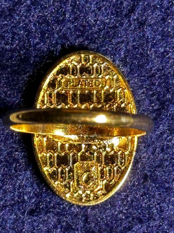 Bophuthatswana National Intelligence Organisation Cravat / Scarf Pin (Gold Plated)