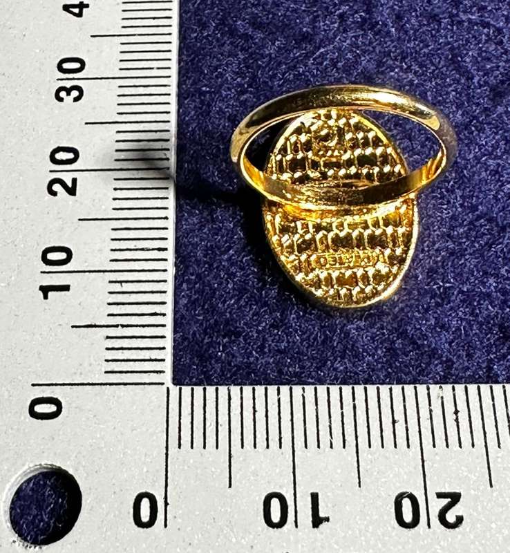 Bophuthatswana National Intelligence Organisation Cravat / Scarf Pin (Gold Plated)