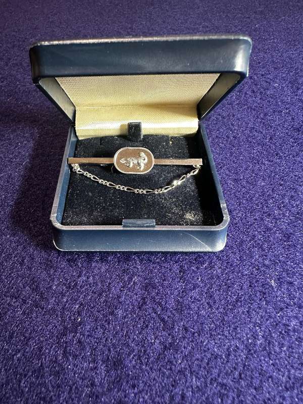 Bophuthatswana National Intelligence Organisation 10 Year Anniversary Tie Pin & Chain - Boxed