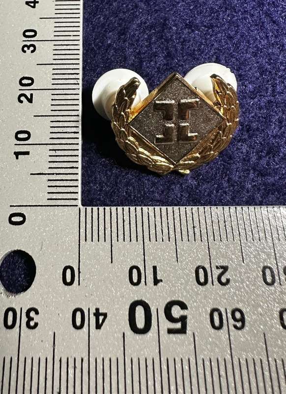 SA ARMY Airforce Intelligence Breast Badge - Mess Dress (RARE)