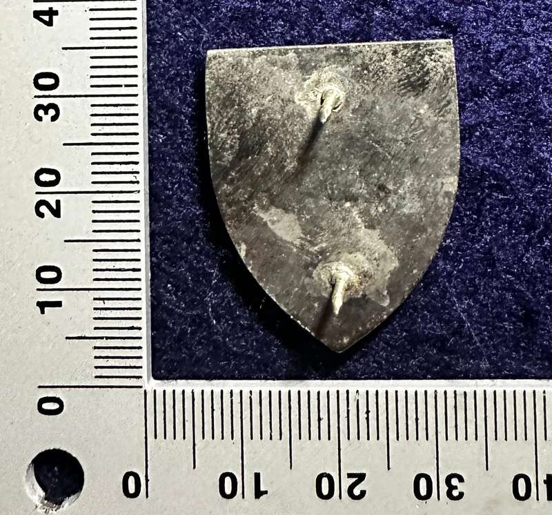 SA ARMY 4 Medical Battalion Fob - Metal and Enamel