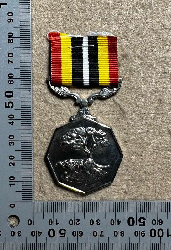 SA Military Decorations & Medals - Southern Africa Medal - Full Size - Numbered 53153