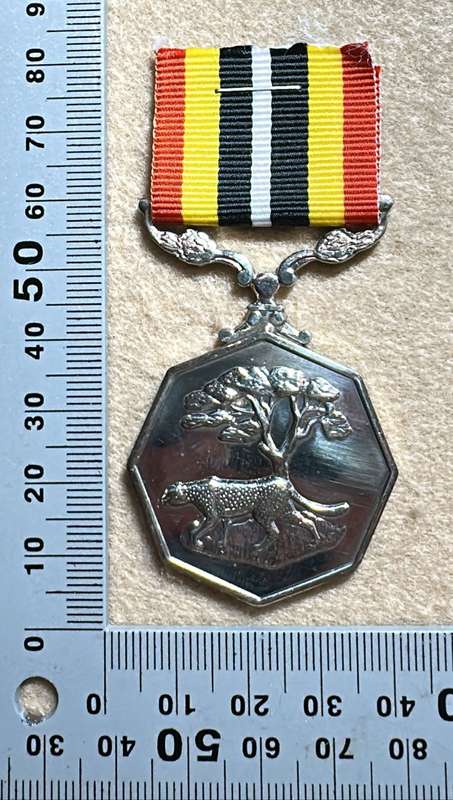 SA Military Decorations & Medals - Southern Africa Medal - Full Size - Numbered 53154