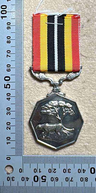 SA Military Decorations & Medals - Southern Africa Medal - Full Size - Numbered 53158