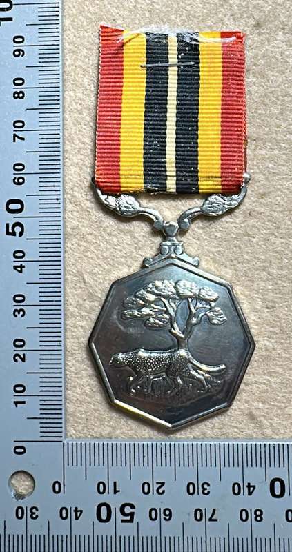 SA Military Decorations & Medals - Southern Africa Medal - Full Size - Numbered 53159
