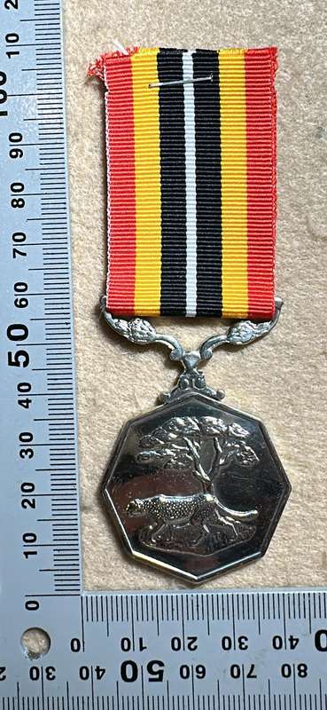 SA Military Decorations & Medals - Southern Africa Medal - Full Size - Numbered 58572