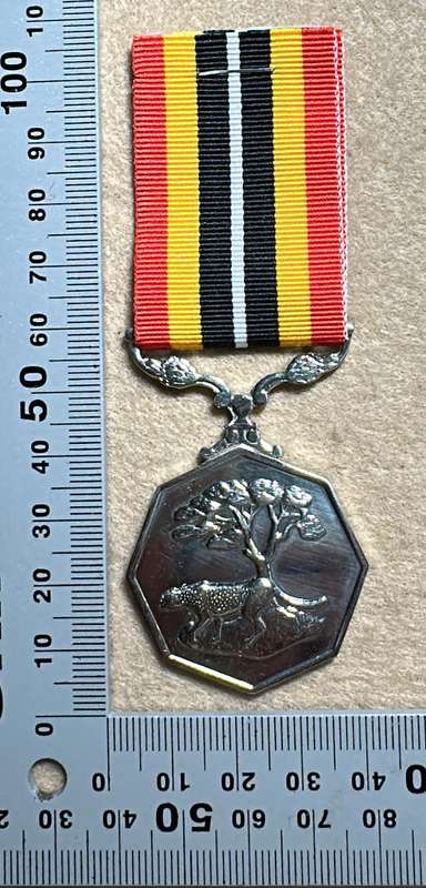 SA Military Decorations & Medals - Southern Africa Medal - Full Size - Numbered 58574