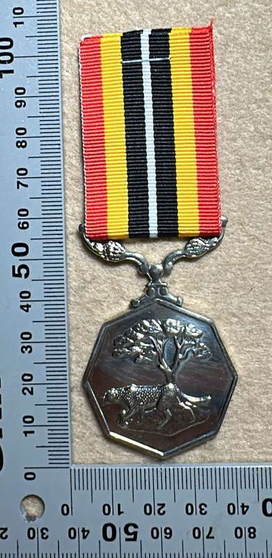 SA Military Decorations & Medals - Southern Africa Medal - Full Size - Numbered 58573