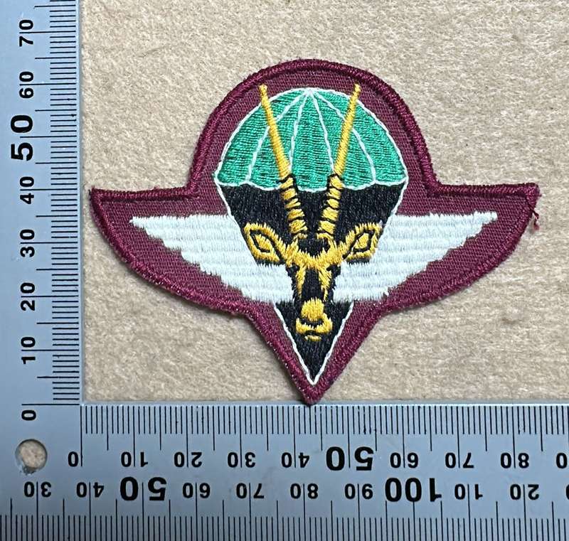 SWA Paratroop embroidered Beret Badge