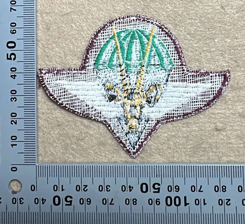 SWA Paratroop embroidered Beret Badge