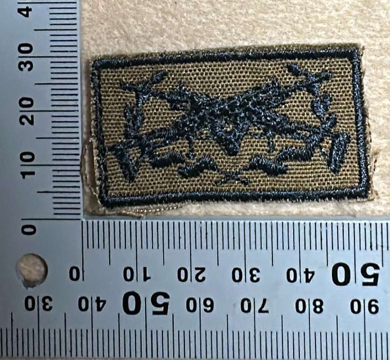 SWA Sharpshooter Qualification Badge embroidered on Nutria