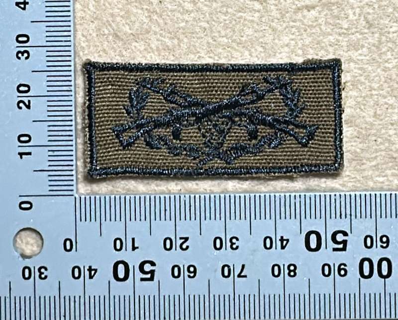 SWA Sharpshooter Qualification Badge embroidered on Nutria