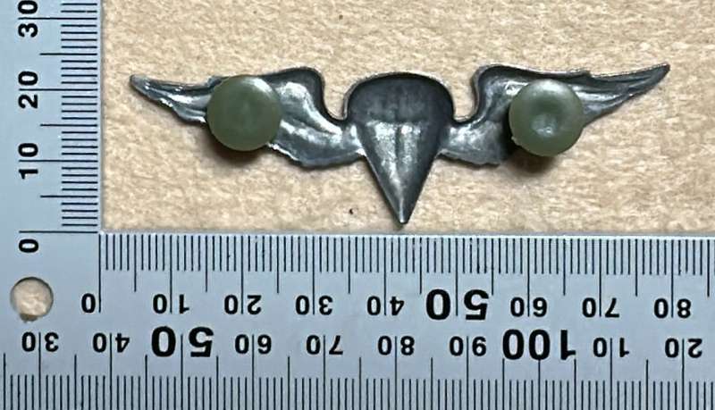 SWA Basic Parachute Qualification Badge - Metal