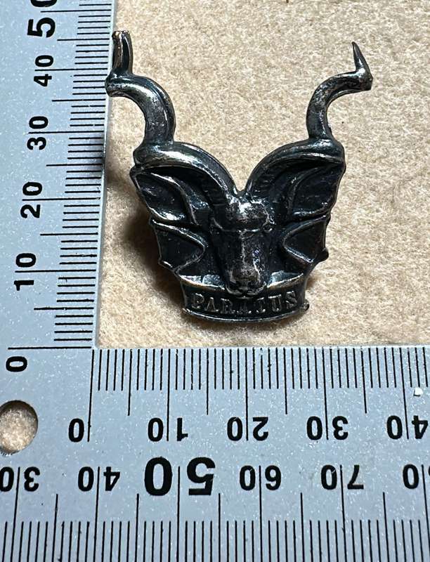 SWATF Area Force Beret/Cap Badge - Metal