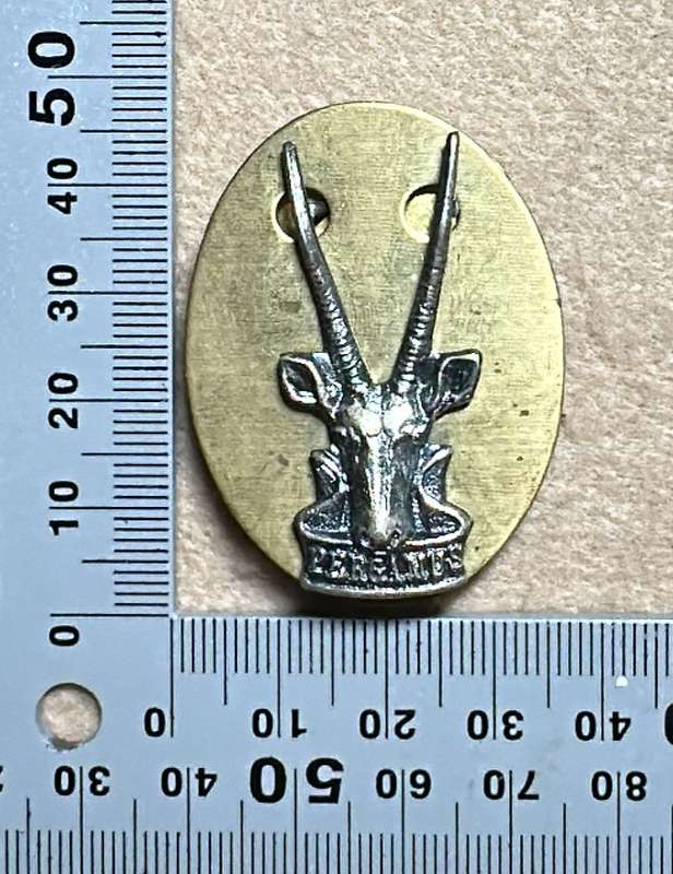 SWATF Headquarters Beret/Cap Badge - Metal