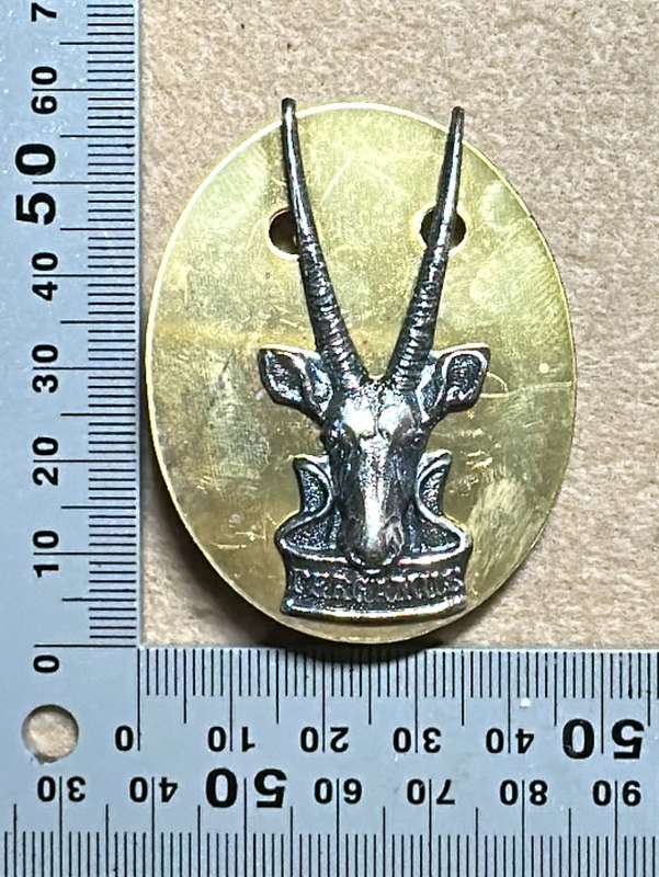 SWATF Headquarters Beret/Cap Badge - Metal