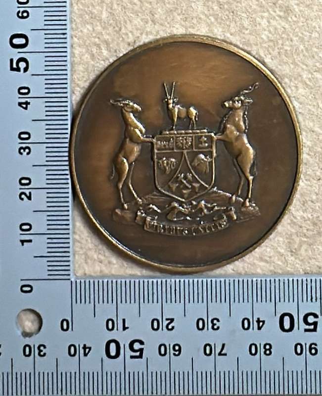 SWA Territory Force / Gebiedsmag Medallion - 1989