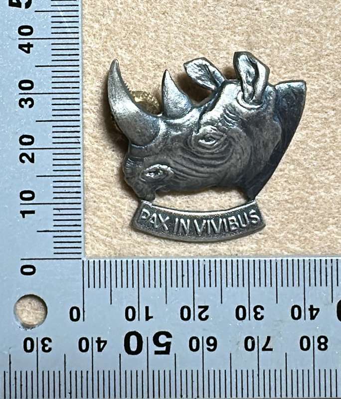 SWA 101 Battalion Beret Badge - Metal