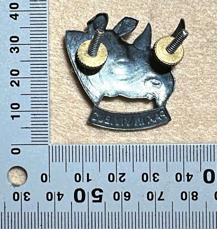 SWA 101 Battalion Beret Badge - Metal