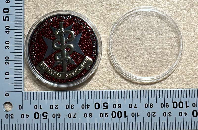 SA ARMY - 7 Medical Battalion - MEDICAL BATTALION GROUP Medallion