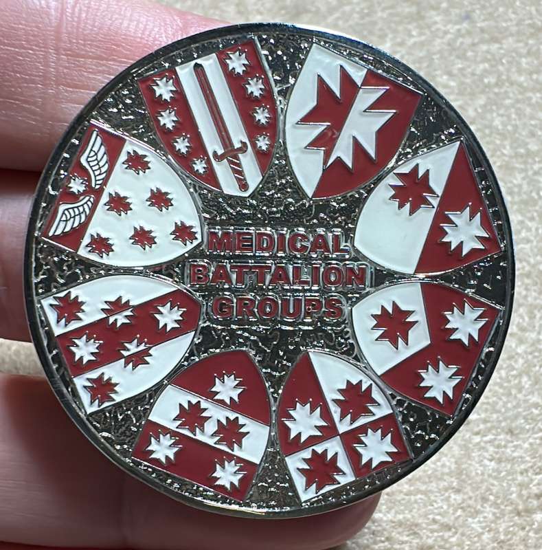 SA ARMY - 7 Medical Battalion - MEDICAL BATTALION GROUP Medallion