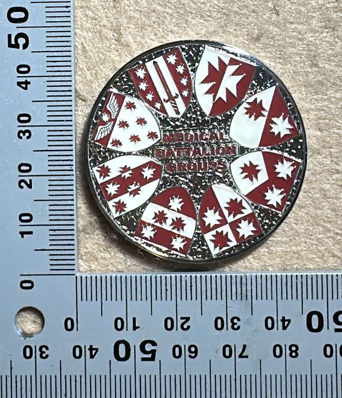 SA ARMY - 7 Medical Battalion - MEDICAL BATTALION GROUP Medallion