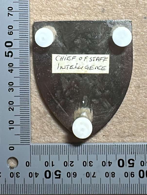 SADF - Chief of Staff Intelligence Shoulder Flash