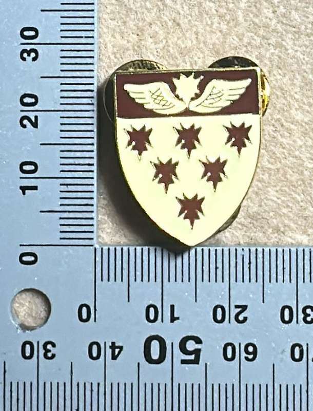 SA ARMY - 7 Medical Battalion - Maroon Flash/Pin