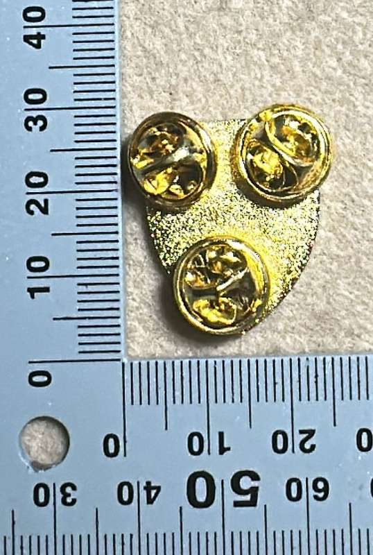 SA ARMY - 7 Medical Battalion - Maroon Flash/Pin