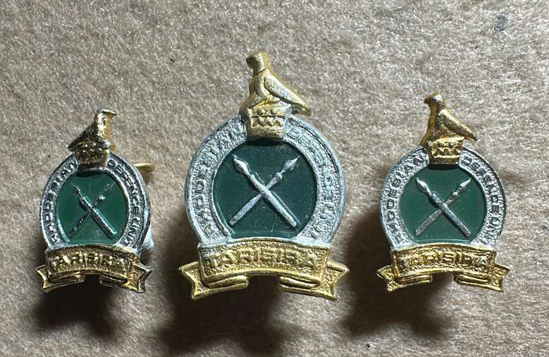 Rhodesia Defence Unit - Beret Badge and Set of Collars - 1970's