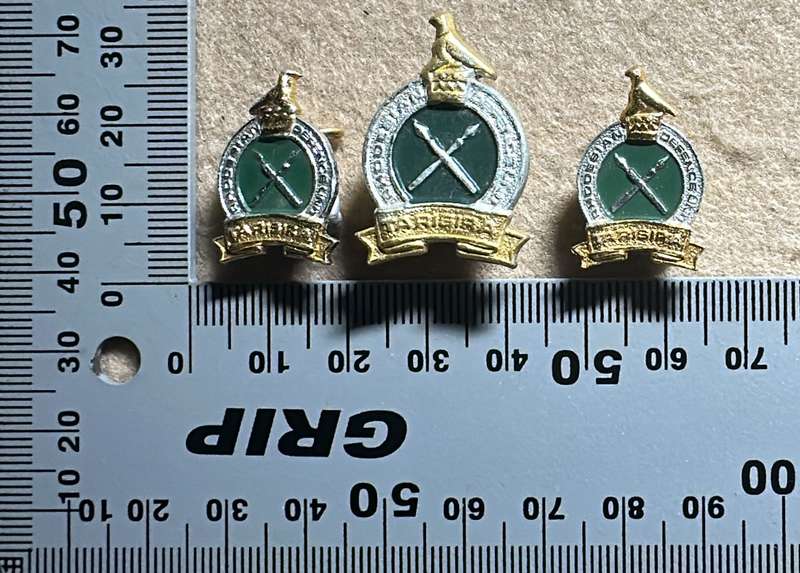 Rhodesia Defence Unit - Beret Badge and Set of Collars - 1970's
