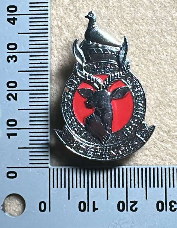 Rhodesia Defence Regiment - Beret Badge