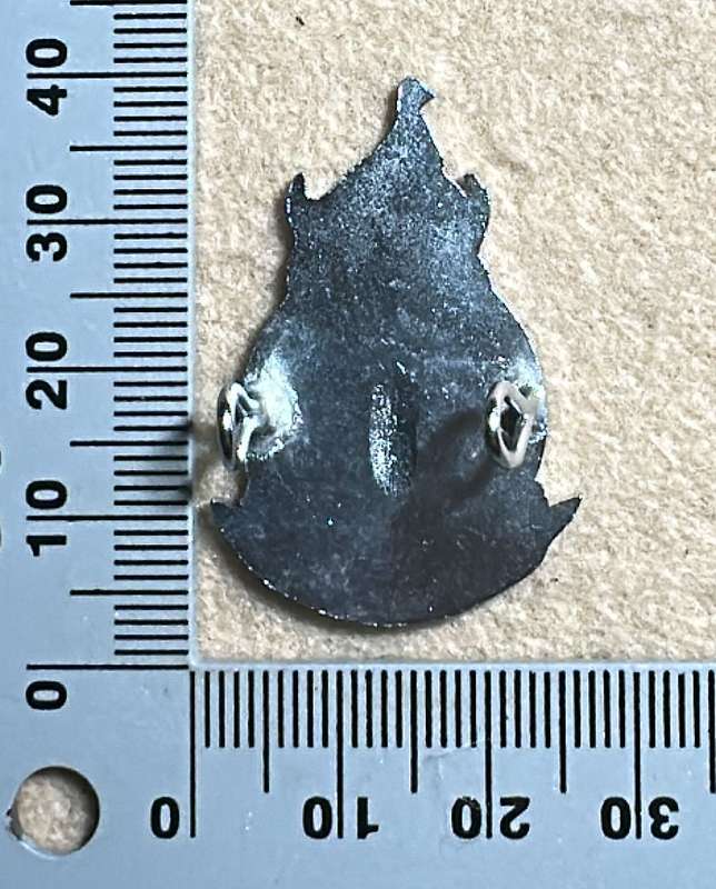 Rhodesia Defence Regiment - Beret Badge