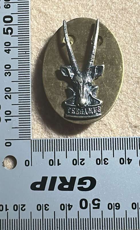 SWATF Headquarters - Chrome Cap/Beret Badge with Backing Plate