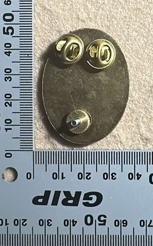 SWATF Headquarters - Chrome Cap/Beret Badge with Backing Plate