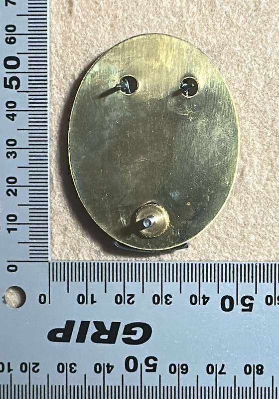 SWATF Headquarters - Chrome Cap/Beret Badge with Backing Plate