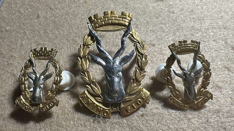 South West African Armed Force Regiment SWATF Regiment Windhoek Badge - Cap/Beret Badge and Collars