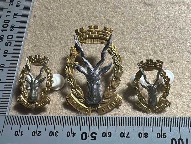 South West African Armed Force Regiment SWATF Regiment Windhoek Badge - Cap/Beret Badge and Collars