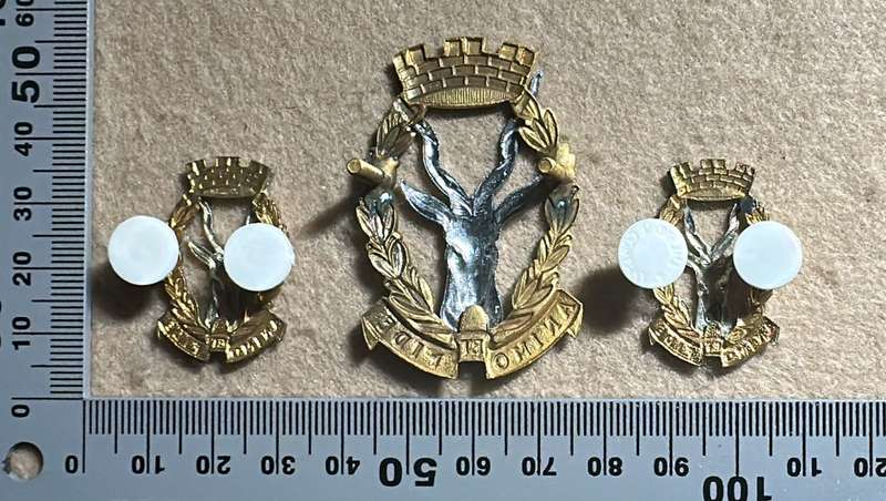South West African Armed Force Regiment SWATF Regiment Windhoek Badge - Cap/Beret Badge and Collars