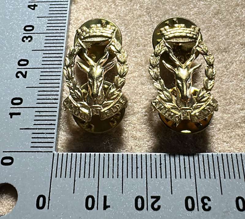South West African Armed Force Regiment SWATF Regiment Windhoek Badge - Set of Collars