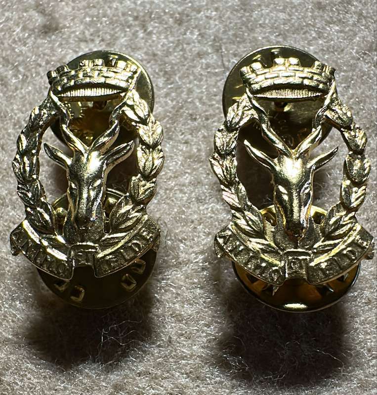 South West African Armed Force Regiment SWATF Regiment Windhoek Badge - Set of Collars