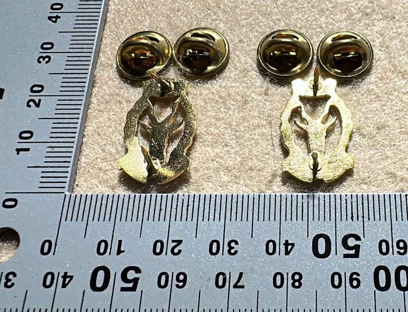 South West African Armed Force Regiment SWATF Regiment Windhoek Badge - Set of Collars