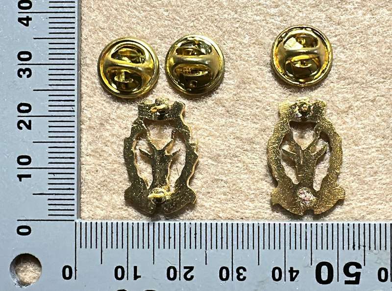 South West African Armed Force Regiment SWATF Regiment Windhoek Badge - Set of Collars (1 pin off)