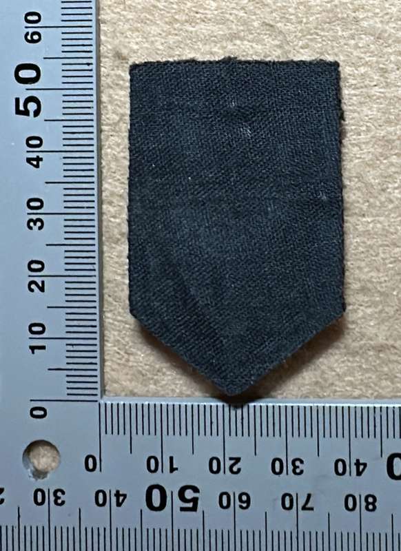 SAS Bullion Wire Beret Badge for Officers