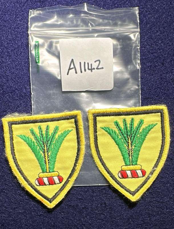 SWA Sector 10 HQ Embroidered Shoulder Flashes - Pair
