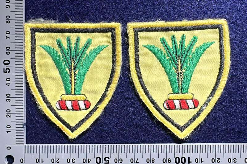 SWA Sector 10 HQ Embroidered Shoulder Flashes - Pair