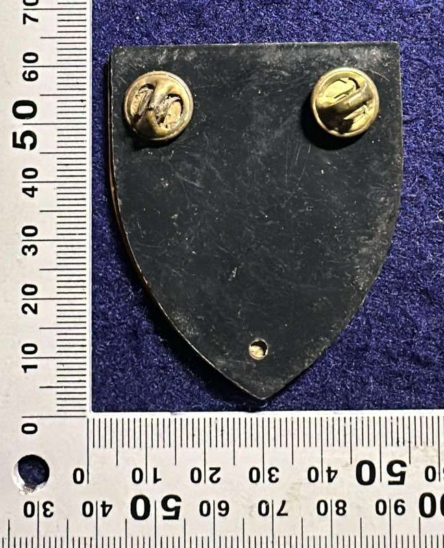 SADF Infantry School Flash (1 pin missing)