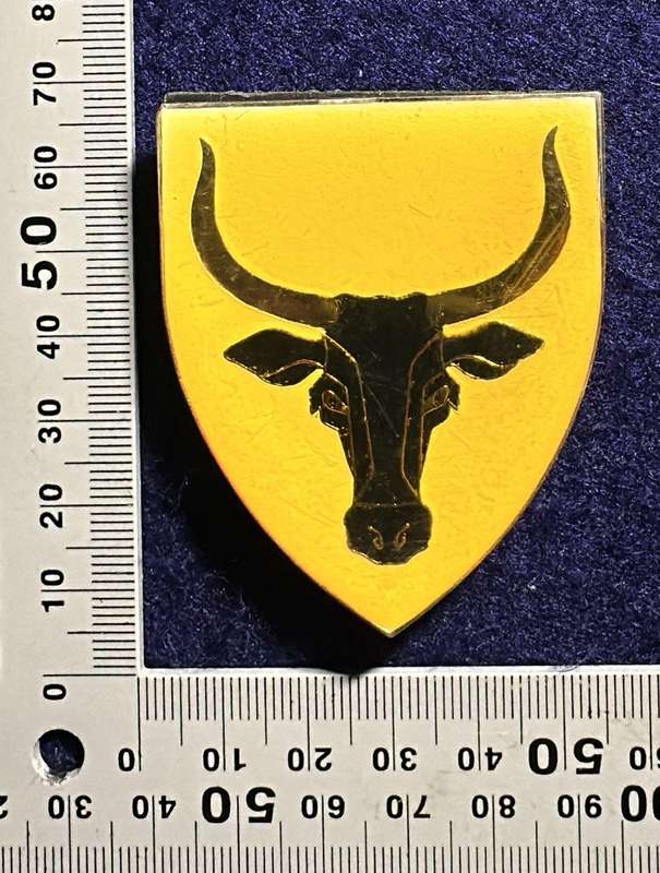SADF / SWA 52 Battalion Metal Arm Flash - 3 pins