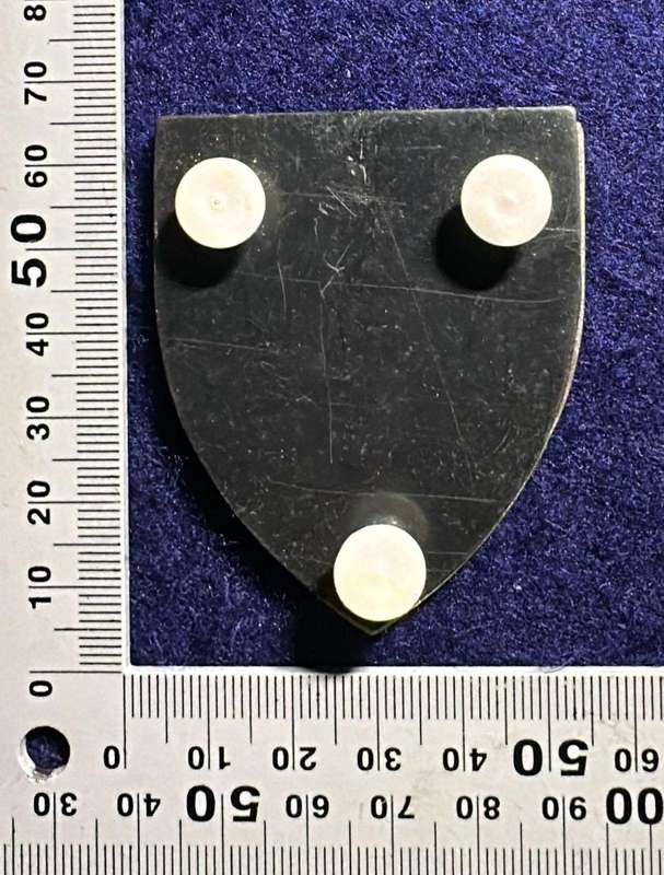 SADF / SWA 52 Battalion Metal Arm Flash - 3 pins