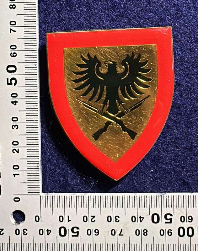 SWATF 913 Battalion Metal Arm Flash - 3 pins